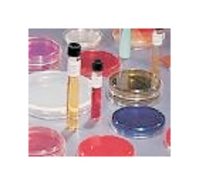 BD BBL CTA MediumMicrobiological Media and Media AdditivesPrepared