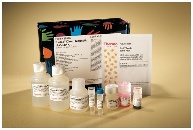 Thermo Scientific™ Pierce™ Direct Magnetic IP/Co-IP Kit 40-rxn kit Kits ...