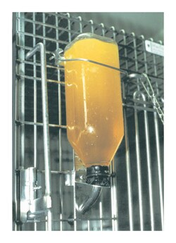 Bio-Serv PRANG , Oral Rehydrator Powder Orange Flavor; 1kg (2.2 lb.)/Jar:Animal