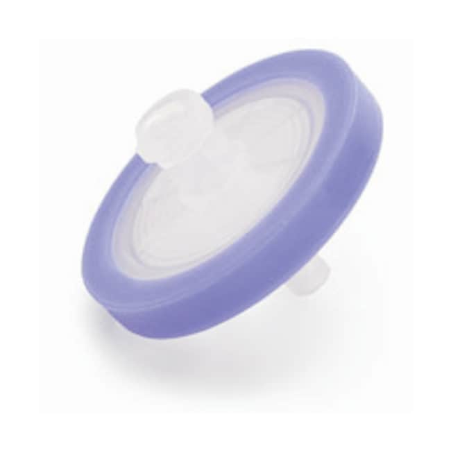 Restek™ Syringe Filters with LuerLok™ Inlet Fisher Scientific