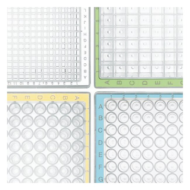 Eppendorf Deepwell Plates 96 1000μL; Standard; Green border; Pk. of