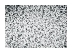 GVS Nitrocellulose-Mixed Esters of Cellulose Membrane Filters 0.8 &mu;m | Buy Online | GVS | Fisher Scientific