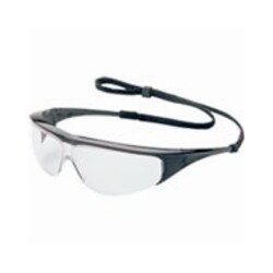 Honeywell&trade;&nbsp;North&trade; Indoor Outdoor Style Safety Glasses
