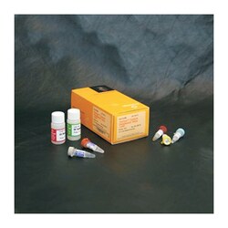 Promega ProFluor™ Tyrosine Phosphatase Assay Systems