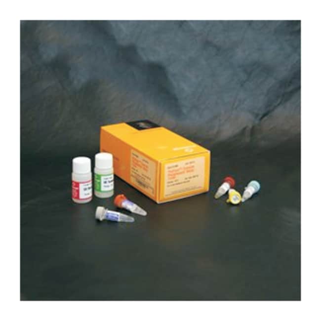 Promega ProFluor Tyrosine Phosphatase Assay Systems 4 plateProtein