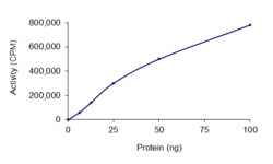 Sino Biological&nbsp;Recombinant Mouse FER Protein (GST Tag), Active