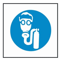 Brady Right-To-Know Pictogram Labels:Mailing and Shipping Products:Shipping