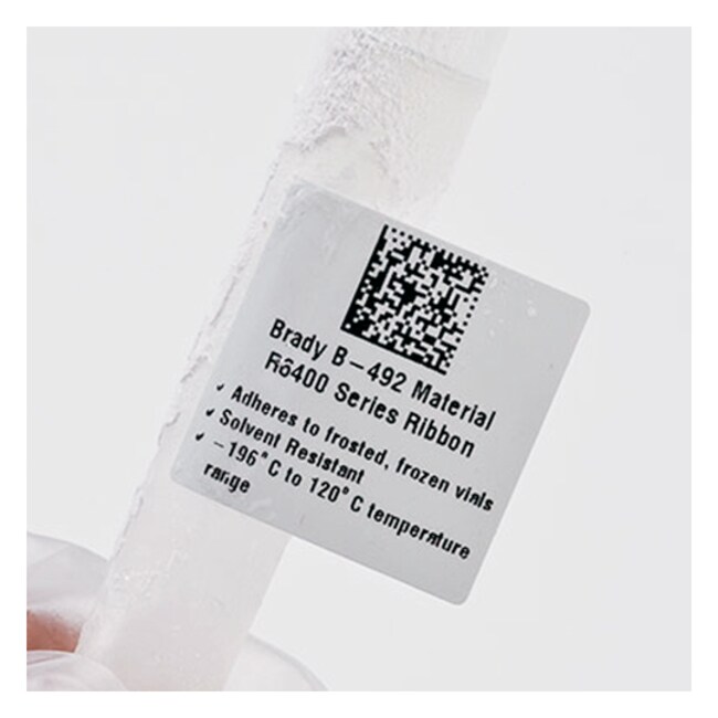 brady qr code printer