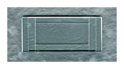 Hausser Scientific Sedgwick-Rafter Cell Counting Chambers Size: 60 x 25