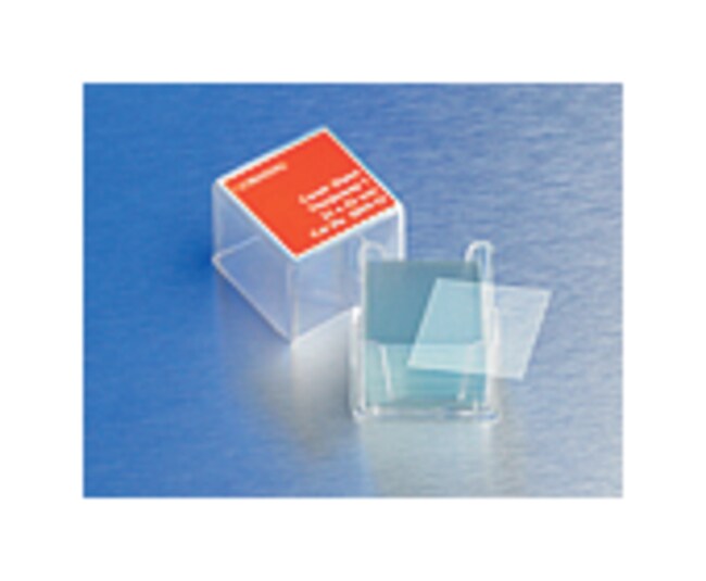 Lamelles Couvre-objets Pour Microscope - Lot De 500 Lames En Verre Transparent, Dimensions 20x20x1mm, Pour échantillons