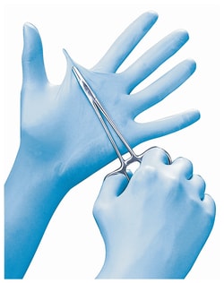 Ansell MICROFLEX N81 Blue Nitrile Gloves X-Large | Buy Online | Ansell | Fisher Scientific