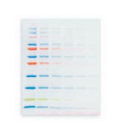 Lonza™ ProSieve™ EX Running Buffer