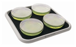 Platforms for Fisherbrand&trade; Multi-Platform Shakers