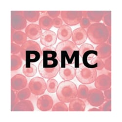 Genlantis&trade;&nbsp;ImmunoPure&trade; Cellules mononucléaires du sang périphérique humain normal (PBMNC)