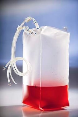 Qorpak&trade;&nbsp;Clear Standard Wide Mouth Bottles, Cleaned for Volatiles, Green Closure