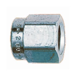 Restek Fittings: Nuts 1/16 in. Nut | Buy Online | Restek&trade; | Fisher Scientific