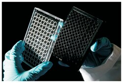 Stemgent Alvetex 3D Cell Growth Well Inserts:Cell Culture Utensils:Specialty