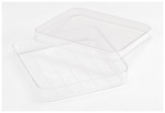 Fisherbrand™ Petri Dishes Specialty