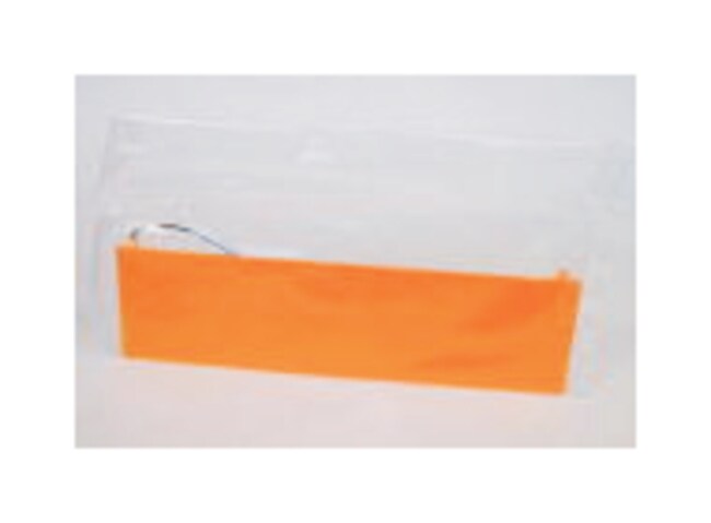 electrophoresis cathode charge electrophoresis cathode charge