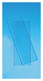 Fisherbrand™ Economy Plain Glass Microscope Slides