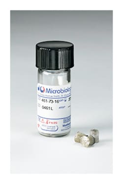 Microbiologics Streptococcus anginosus ATCC 33397 KWIK STIK | Buy Online | Microbiologics&trade; | Fisher Scientific