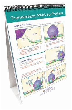 NewPath Learning™ Chromosomes, Genes and DNA Flip Chart Set