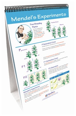 NewPath Learning™ Genetics: The Study of Heredity Flip Chart Set