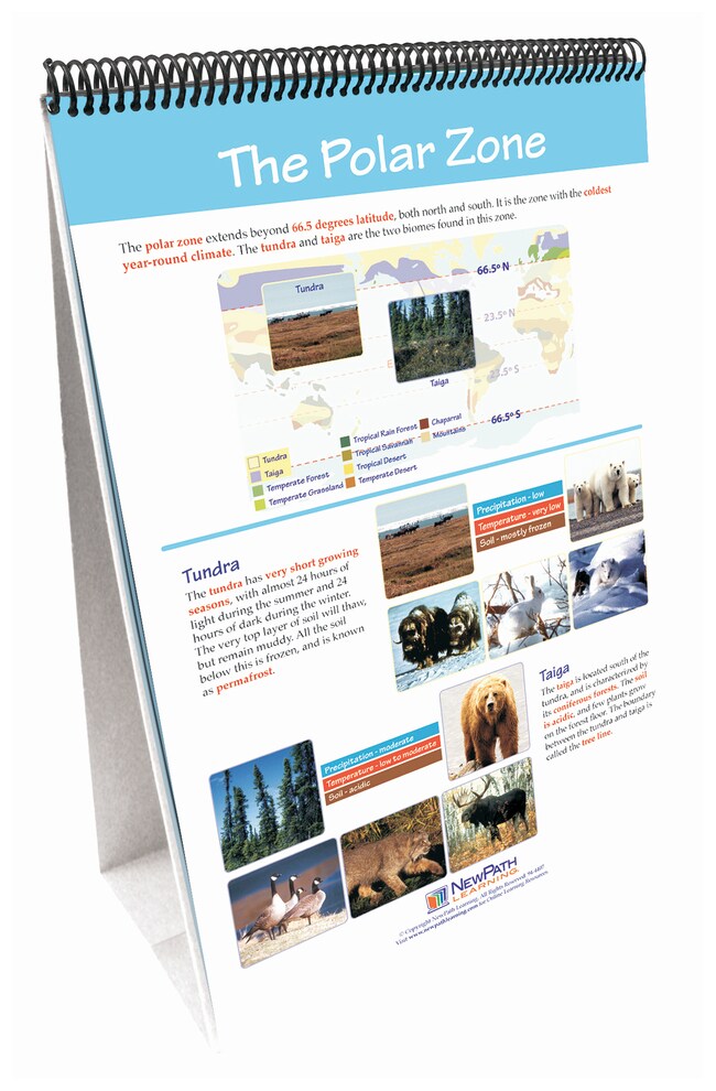 NewPath Learning Earth's Climate Flip Chart Set Earth's Climate Flip ...