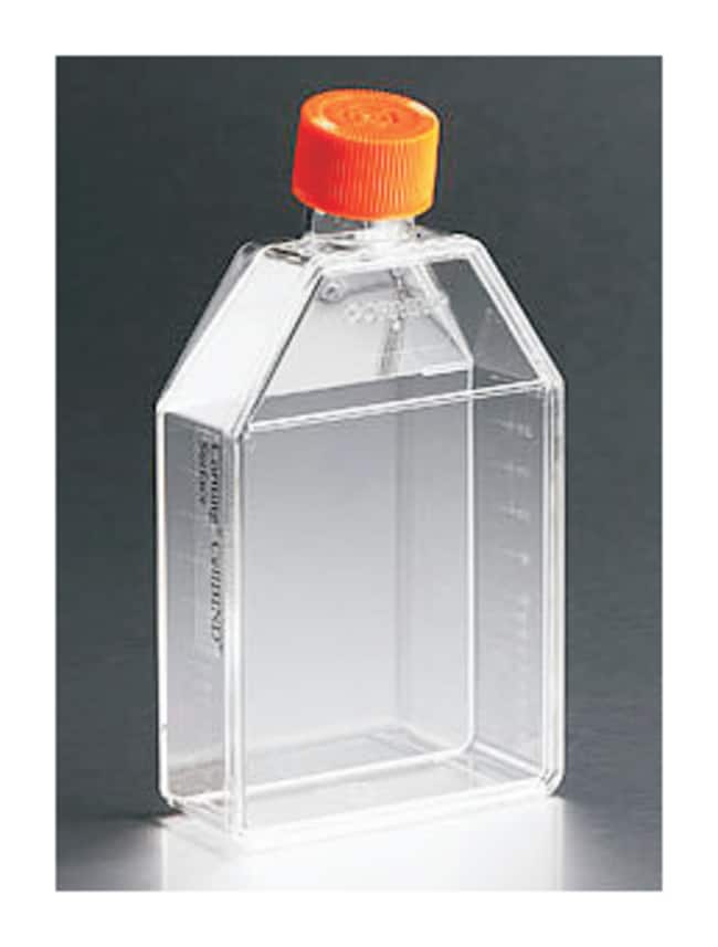 Corning™ Synthemax™ R Surface 75cm2 Cell Culture Flask 75cm2