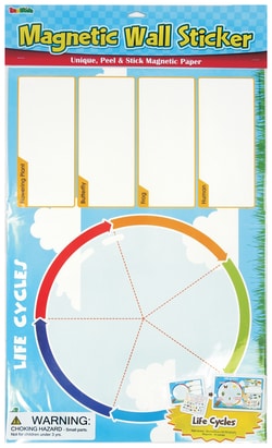 American Educational Products Life Cycles Magnetic Wall Sticker