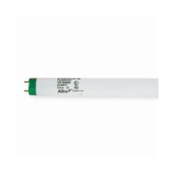 Bulbtronics&trade;&nbsp;Philips&trade; Fluorescent Bulb: T8