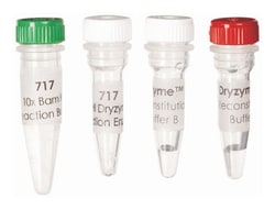 Dryzyme Restriction Enzymes G.GATCC | Buy Online | Edvotek | Fisher Scientific