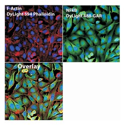 Restek Fittings: Port Connectors 1/4 in. | Buy Online | Restek&trade; | Fisher Scientific