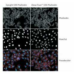 Restek Fittings: Port Connectors 1/4 in. | Buy Online | Restek&trade; | Fisher Scientific