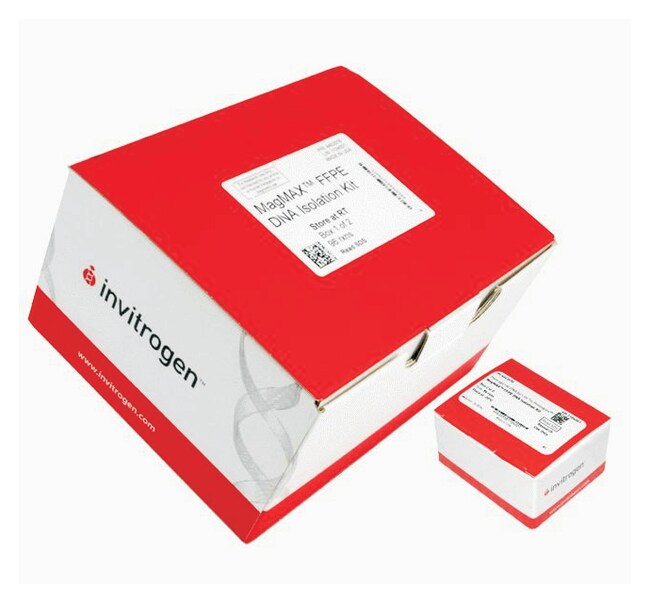 Invitrogen™ MagMAX™ FFPE DNA Isolation Kit 96 preps RNAAufarbeitung