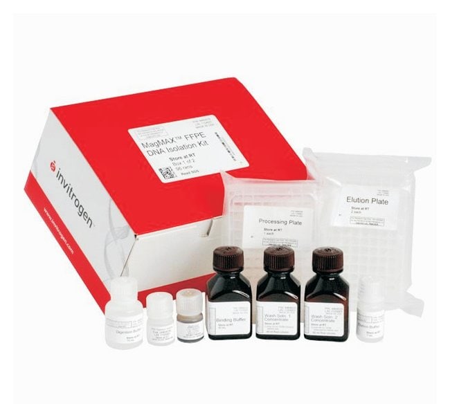 Invitrogen™ MagMAX™ FFPE DNA Isolation Kit 96 preps RNAAufarbeitung