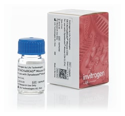 Invitrogen Dynabeads DETACHaBEAD Mouse CD4 Kit 5 ml | Buy Online | Invitrogen&trade; | Fisher Scientific