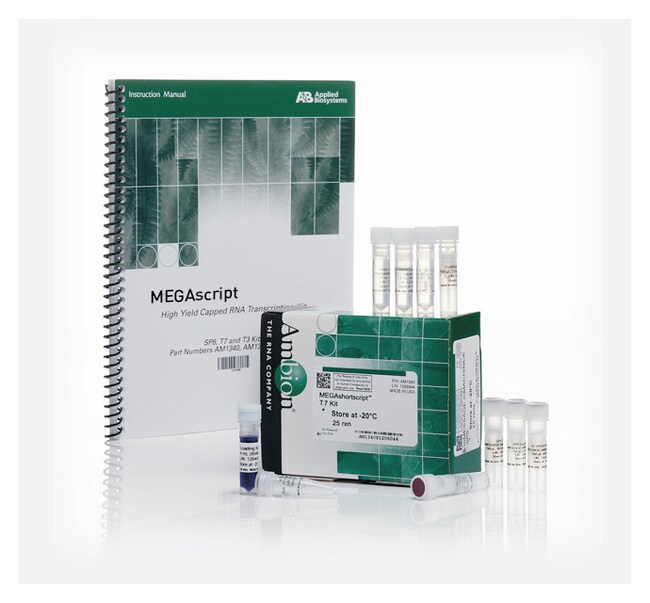 Invitrogen MEGAshortscript T7 Transcription Kit 25 reactions; Without