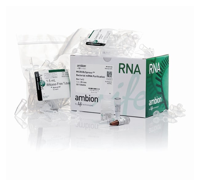 Invitrogen MICROBExpress Bacterial mRNA Enrichment Kit 20 prepsLife