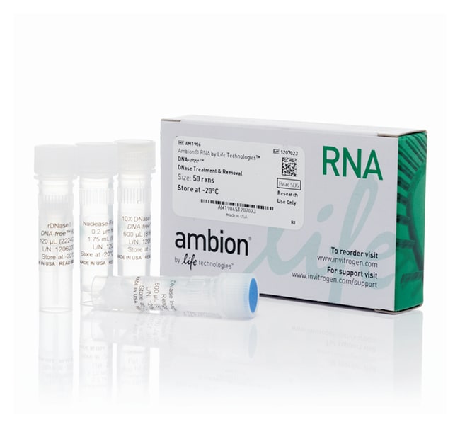 Rnase A Treatment Room Temperature Rnase A Treatment Room Temperature
