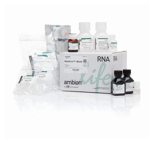 Invitrogen™ RiboPure™ RNA Purification Kit, blood Fisher Scientific