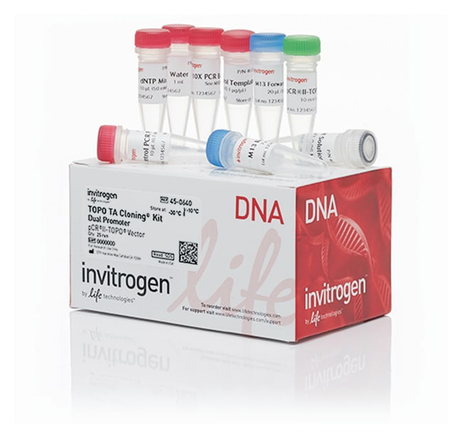 Invitrogen TOPO TA Cloning Kit, Dual Promoter, without competent cells