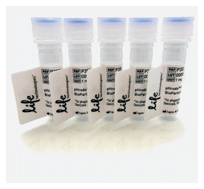 Invitrogen Molecular Probes pHrodo Green E. coli BioParticles Conjugate ...