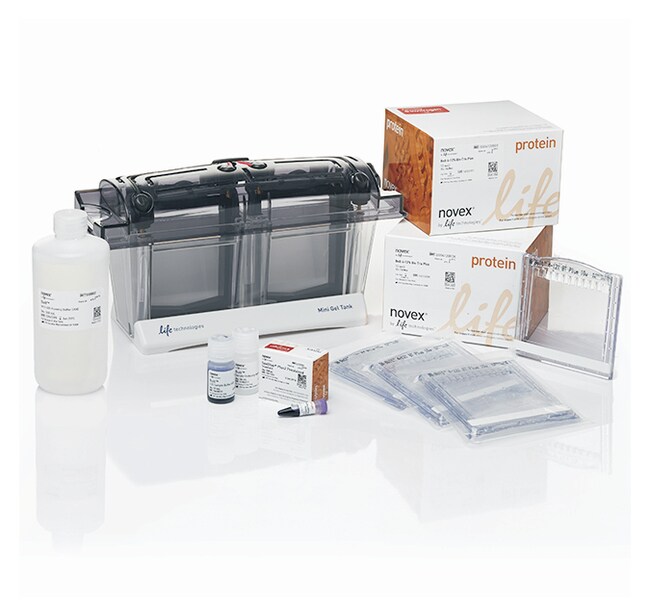 Invitrogen™ Pack A de bienvenue Bolt™ (412 , 10 puits) Gels and