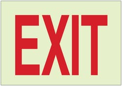 Brady™ Glow-in-the-Dark Exit and Directional Signs: EXIT