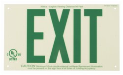 Brady BradyGlo Frameless Exit Signs Green on White | Buy Online | Brady&trade; | Fisher Scientific