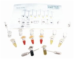 NewPath Learning™ Stem Cells Lab Investigation