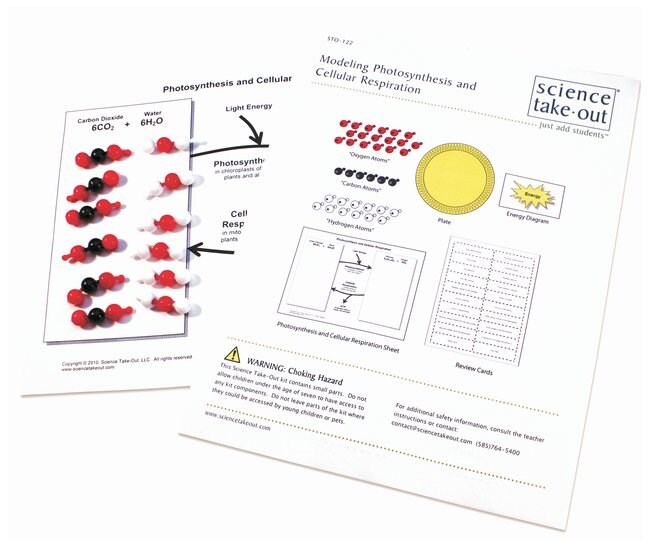 Newpath Learning Modeling Photosynthesis And Cellular Respiration Lab Investigation Fisher Scientific