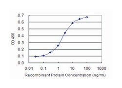 nuclear factor I/C (CCAAT-binding transcription factor), Mouse, Clone: 1D6, Abnova&trade;