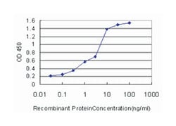 hydroxyacyl-Coenzyme A dehydrogenase, Mouse, Clone: 4B5, Abnova&trade;